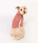 Stripe Tee Rust and Ivory