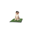 Set of 3 Replacement Turf Grass Mats for Potty Training - Dog Housebreaking Supplies for Puppies and Small Pets by PETMAKER