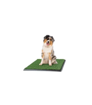 Set of 3 Replacement Turf Grass Mats for Potty Training - Dog Housebreaking Supplies for Puppies and Small Pets by PETMAKER