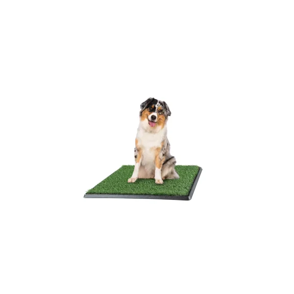 Set of 3 Replacement Turf Grass Mats for Potty Training - Dog Housebreaking Supplies for Puppies and Small Pets by PETMAKER