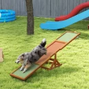 PawHut Wooden Dog Agility Seesaw for Training and Exercise, Platform Equipment Run Game Toy Weather Resistant Pet Supplies